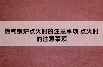 燃气锅炉点火时的注意事项 点火时的注意事项